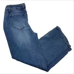 Earl Jeans Womens Blue Skinny Ankle Length Denim Jeans Size 6